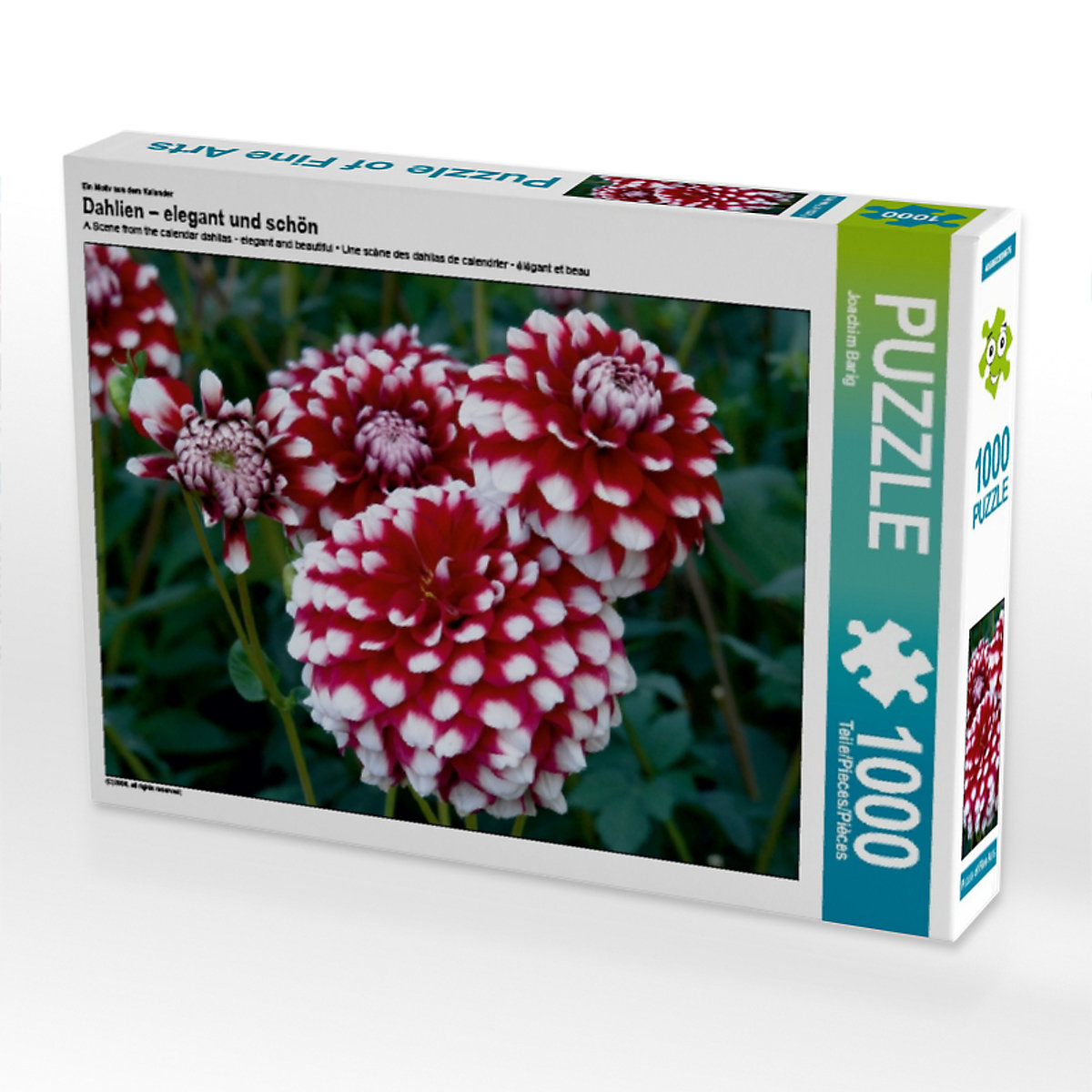 CALVENDO® Puzzle CALVENDO Puzzle Dahlien – elegant und schön 1000 Teile Foto-Puzzle für glückliche Stunden