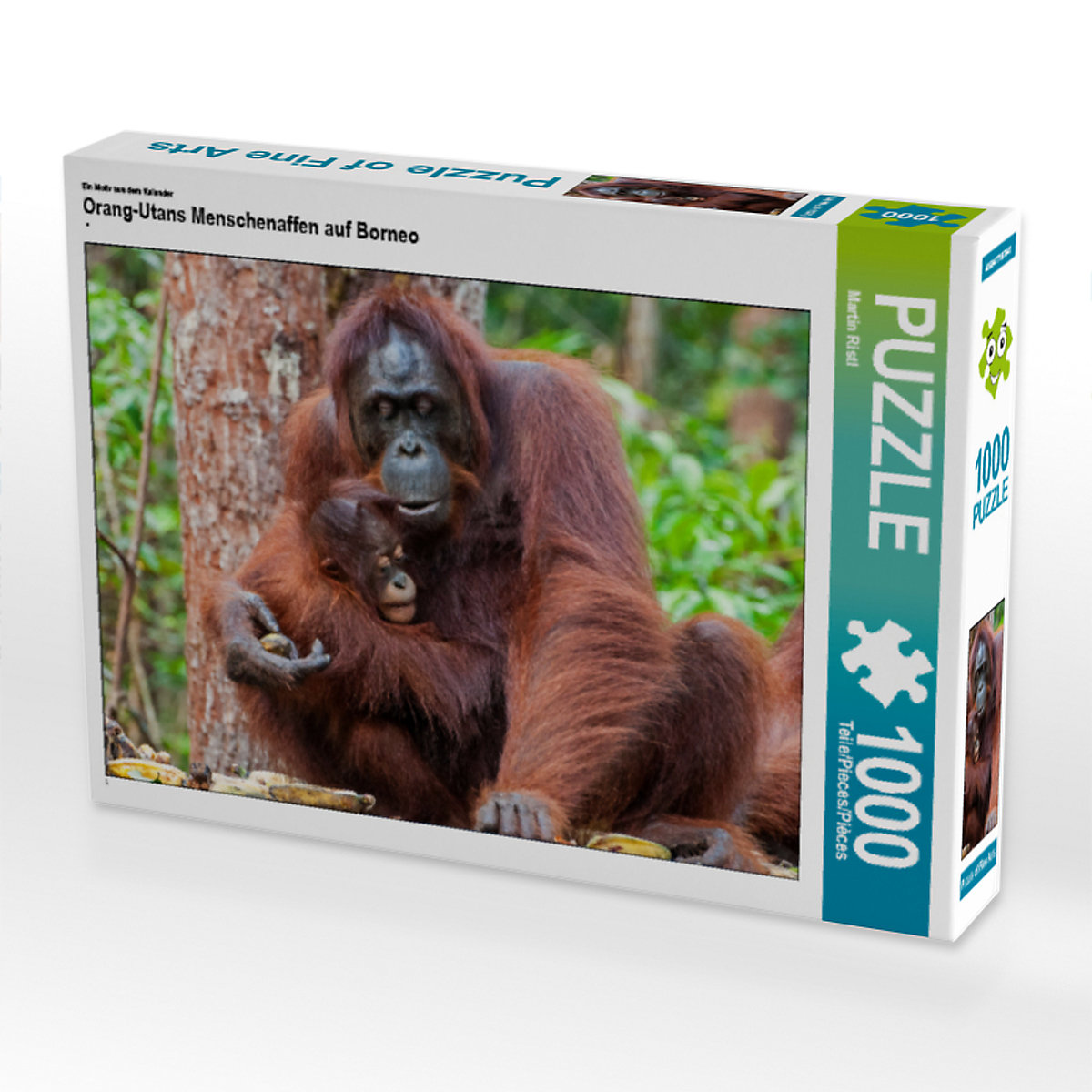 CALVENDO® Puzzle CALVENDO Puzzle Orang-Utans Menschenaffen auf Borneo 1000 Teile Foto-Puzzle für glückliche Stunden