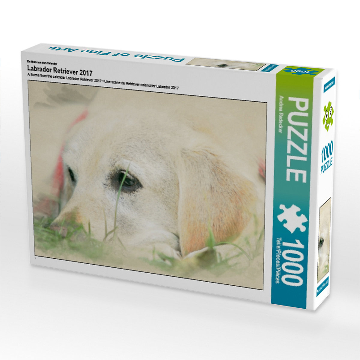 CALVENDO® Puzzle CALVENDO Puzzle Labrador Retriever 2017 1000 Teile Foto-Puzzle für glückliche Stunden