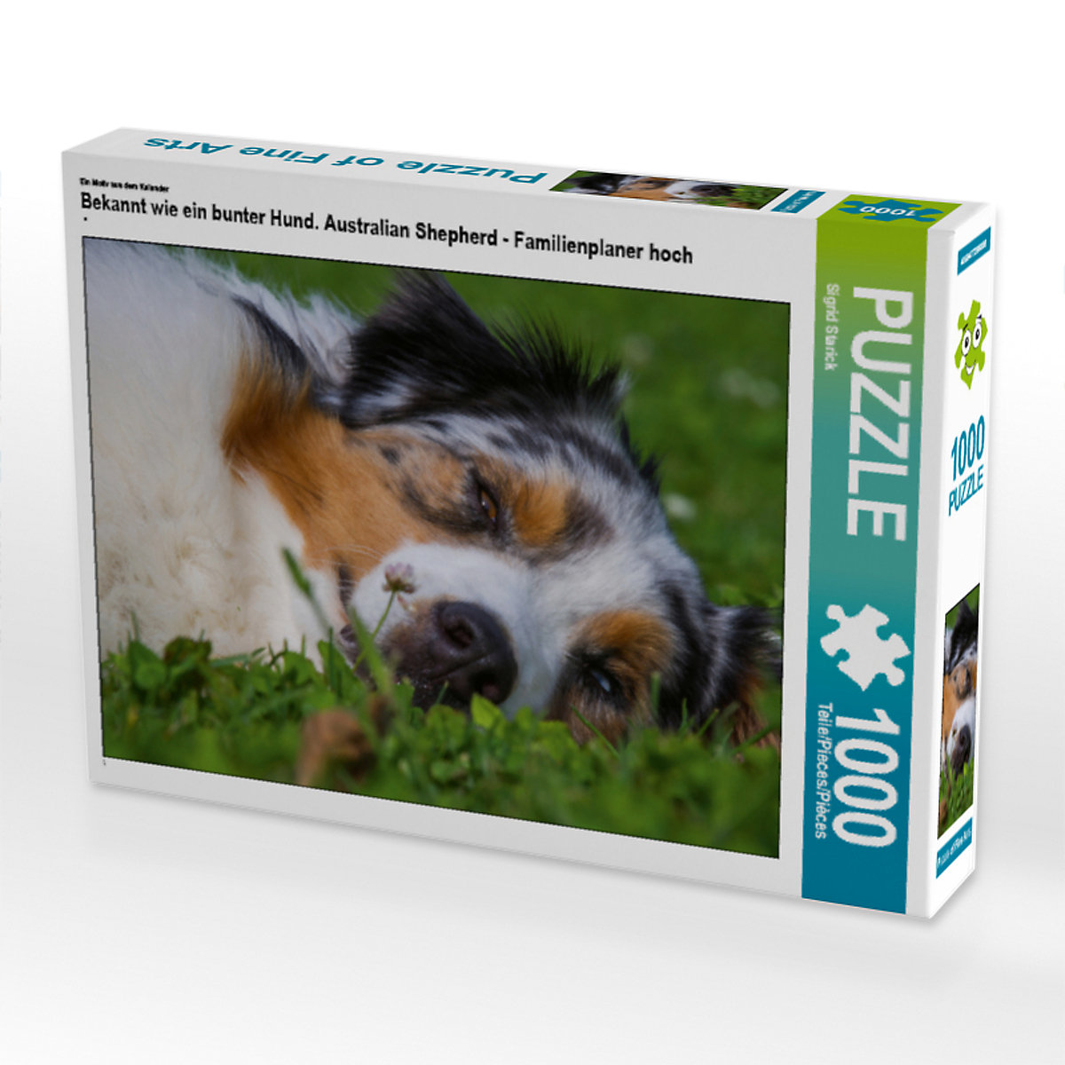 CALVENDO® Puzzle CALVENDO Puzzle Bekannt wie ein bunter Hund. Australian Shepherd Familienplaner hoch 1000 Teile Foto-Puzzle für glückliche Stunden