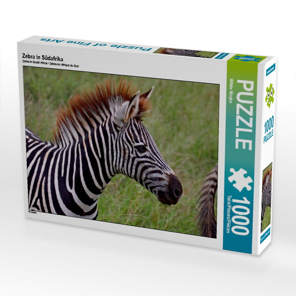 CALVENDO® Puzzle CALVENDO Puzzle Zebra in Südafrika 1000 Teile Foto-Puzzle für glückliche Stunden