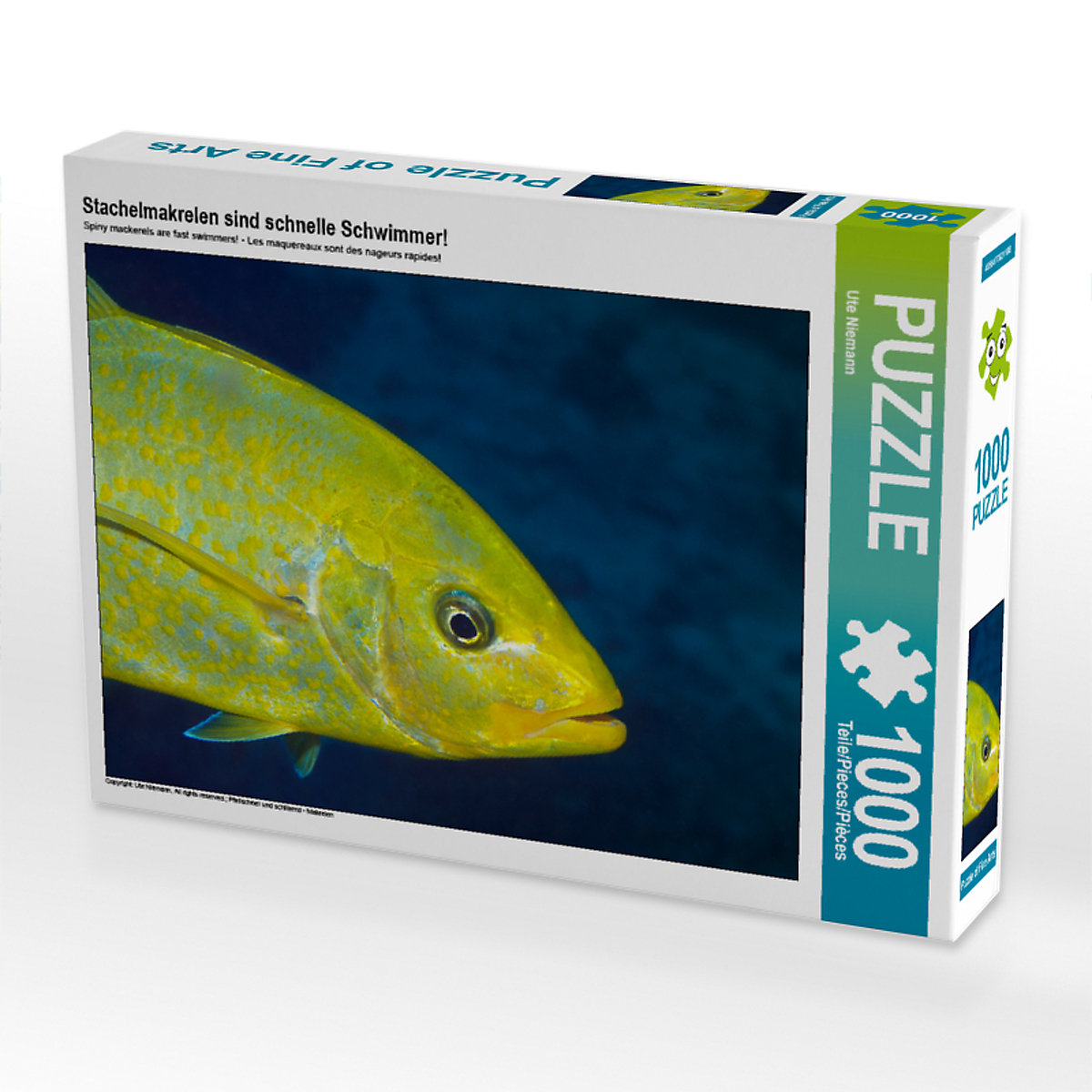 CALVENDO® Puzzle CALVENDO Puzzle Stachelmakrelen sind schnelle Schwimmer! 1000 Teile Foto-Puzzle für glückliche Stunden