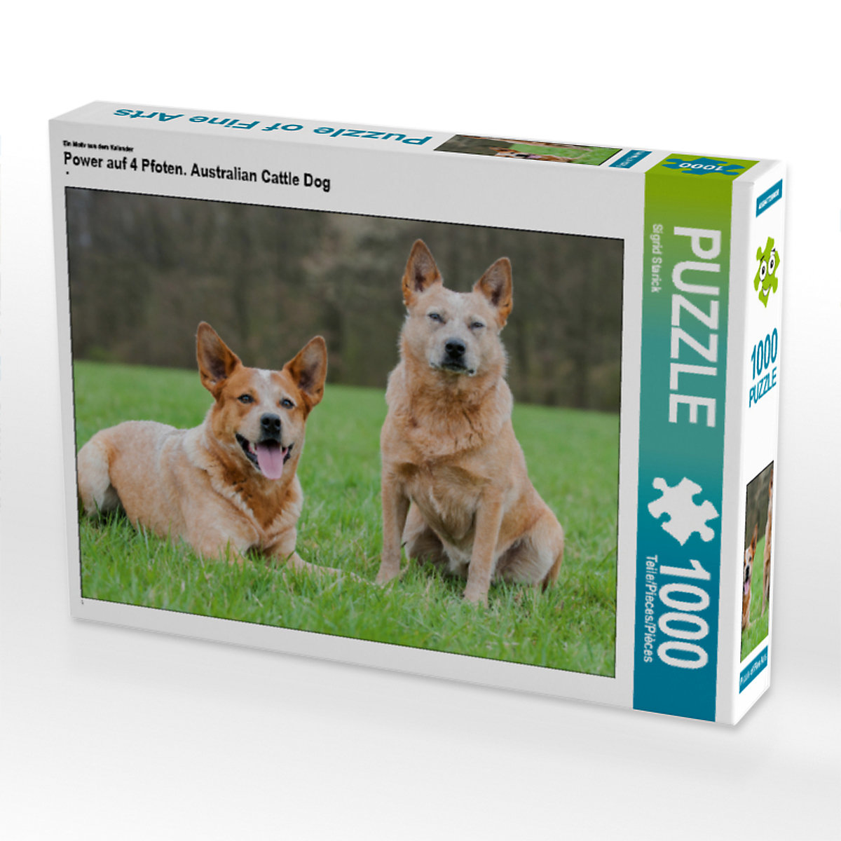 CALVENDO® Puzzle CALVENDO Puzzle Power auf 4 Pfoten. Australian Cattle Dog 1000 Teile Foto-Puzzle für glückliche Stunden