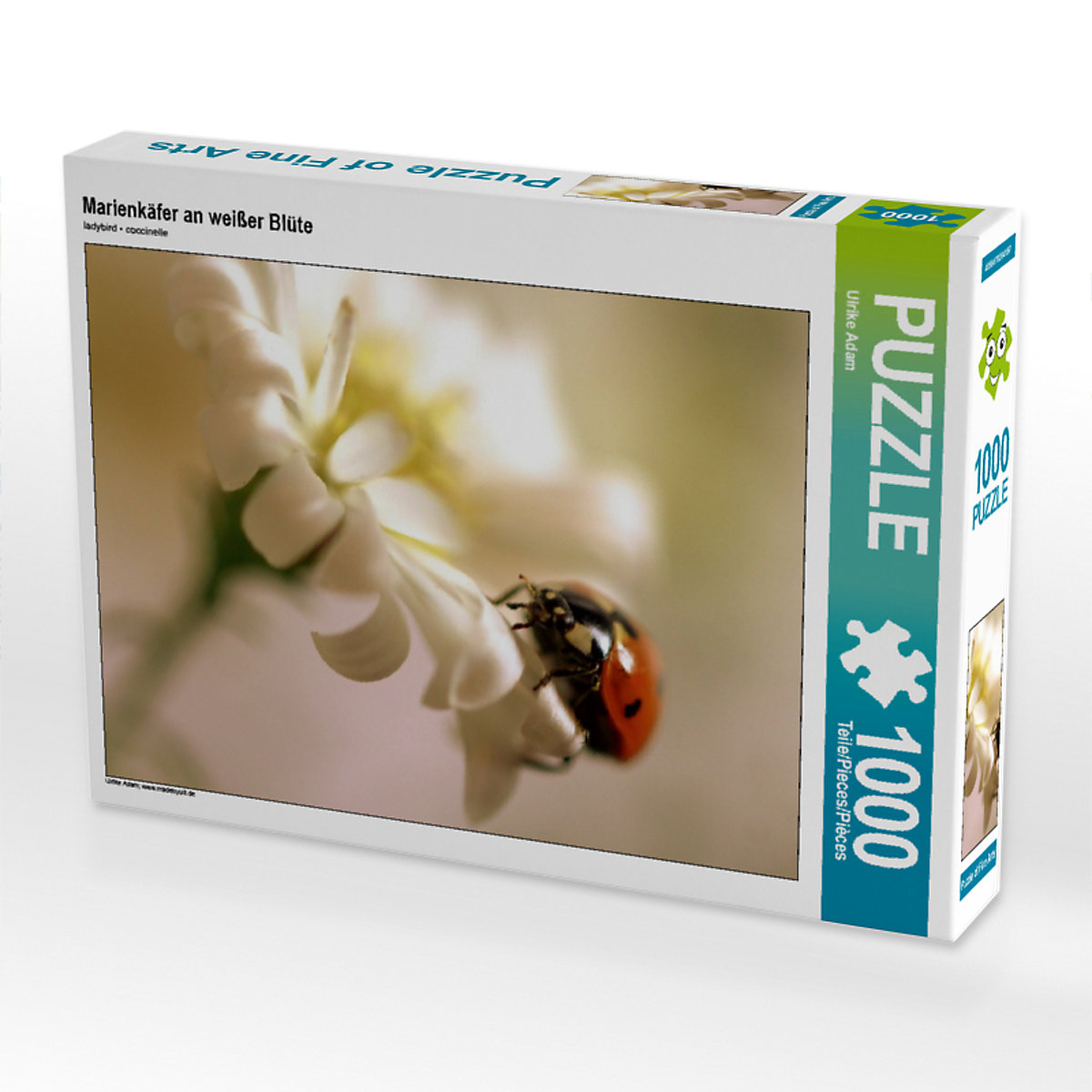 CALVENDO® Puzzle CALVENDO Puzzle Marienkäfer an weißer Blüte 1000 Teile Foto-Puzzle für glückliche Stunden