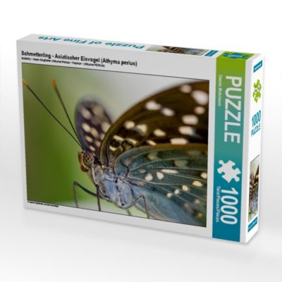 CALVENDO® Puzzle CALVENDO Puzzle Schmetterling Asiatischer Eisvogel (Athyma perius) 1000 Teile Foto-Puzzle für glückliche Stunden