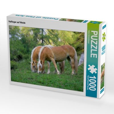 CALVENDO® Puzzle CALVENDO Puzzle Haflinger auf Weide 1000 Teile Foto-Puzzle für glückliche Stunden