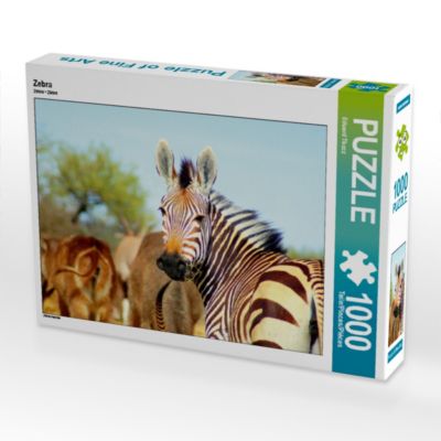 CALVENDO® Puzzle CALVENDO Puzzle Zebra 1000 Teile Foto-Puzzle für glückliche Stunden