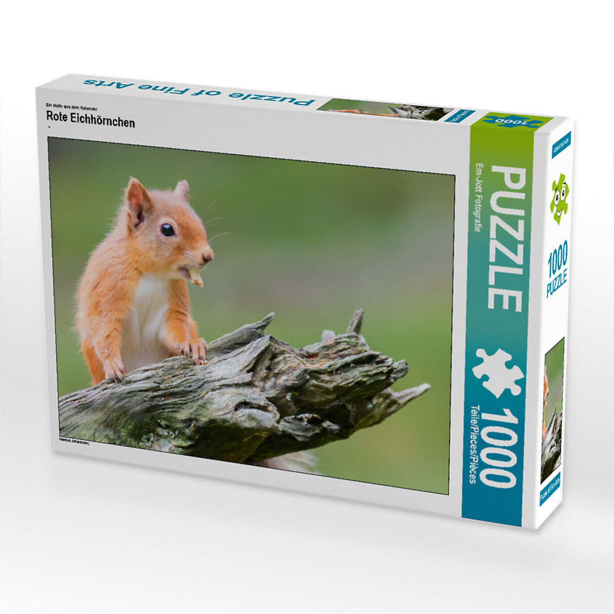 CALVENDO® Puzzle CALVENDO Puzzle Rote Eichhörnchen 1000 Teile Foto-Puzzle für glückliche Stunden