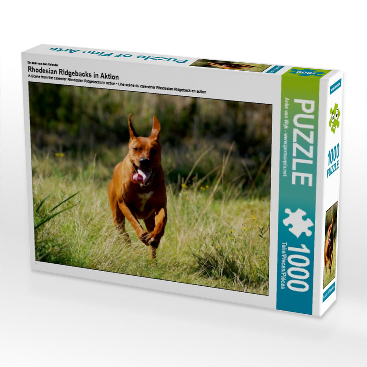 CALVENDO® Puzzle CALVENDO Puzzle Rhodesian Ridgebacks in Aktion 1000 Teile Foto-Puzzle für glückliche Stunden