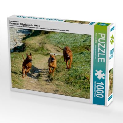 CALVENDO® Puzzle CALVENDO Puzzle Rhodesian Ridgebacks in Aktion 1000 Teile Foto-Puzzle für glückliche Stunden