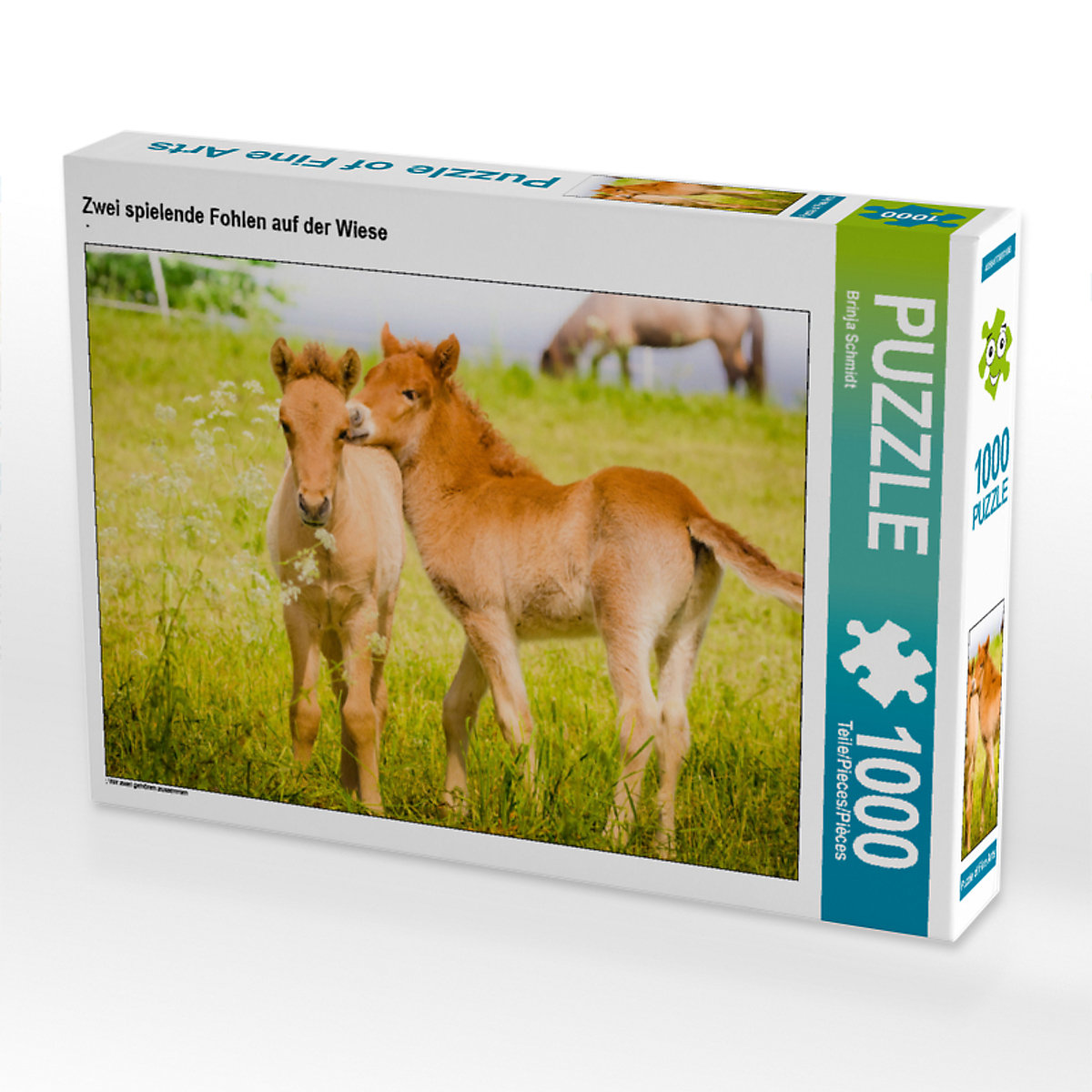 CALVENDO® Puzzle CALVENDO Puzzle Zwei spielende Fohlen auf der Wiese 1000 Teile Foto-Puzzle für glückliche Stunden