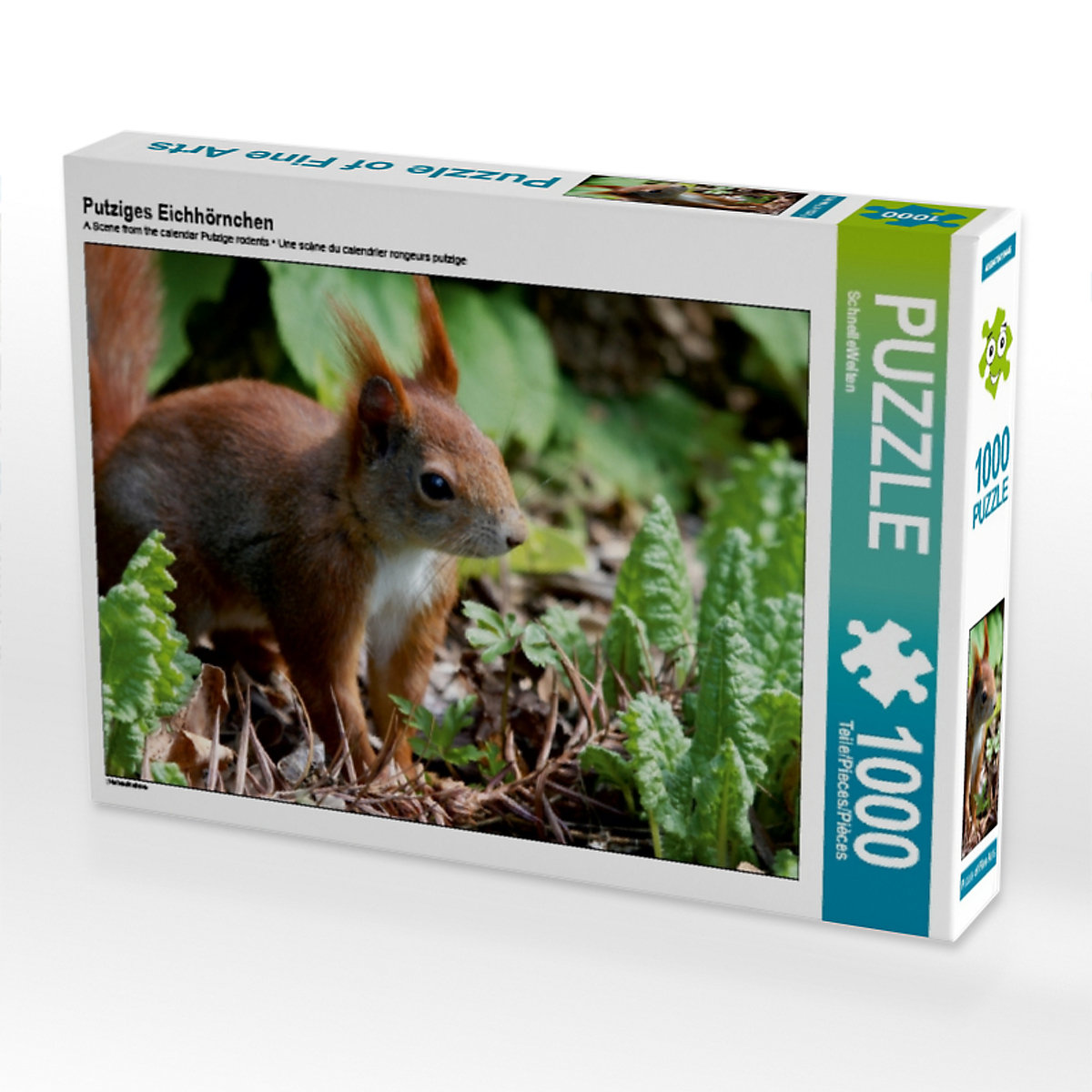 CALVENDO® Puzzle CALVENDO Puzzle Putziges Eichhörnchen 1000 Teile Foto-Puzzle für glückliche Stunden