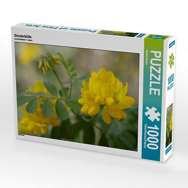 Puzzle CALVENDO Puzzle Ginsterblüte - 1000 Teile Foto-Puzzle für glückliche Stunden