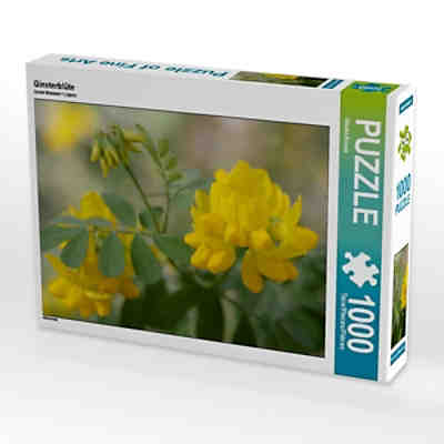 Puzzle CALVENDO Puzzle Ginsterblüte - 1000 Teile Foto-Puzzle für glückliche Stunden