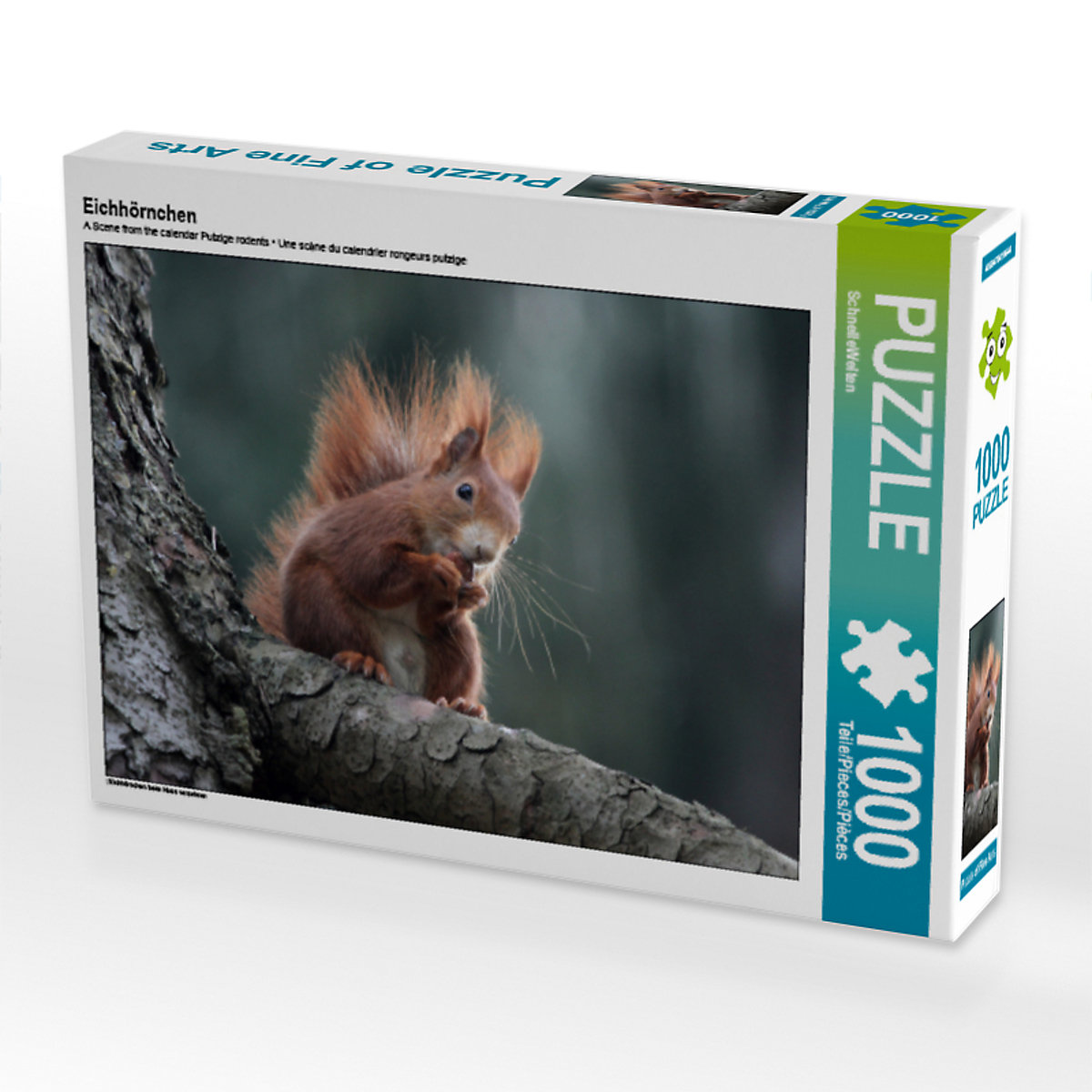 CALVENDO® Puzzle CALVENDO Puzzle Eichhörnchen 1000 Teile Foto-Puzzle für glückliche Stunden