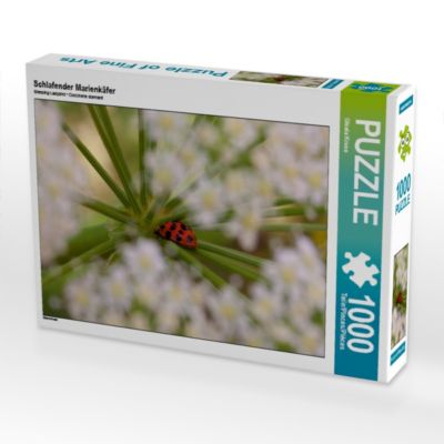 CALVENDO® Puzzle CALVENDO Puzzle Schlafender Marienkäfer 1000 Teile Foto-Puzzle für glückliche Stunden