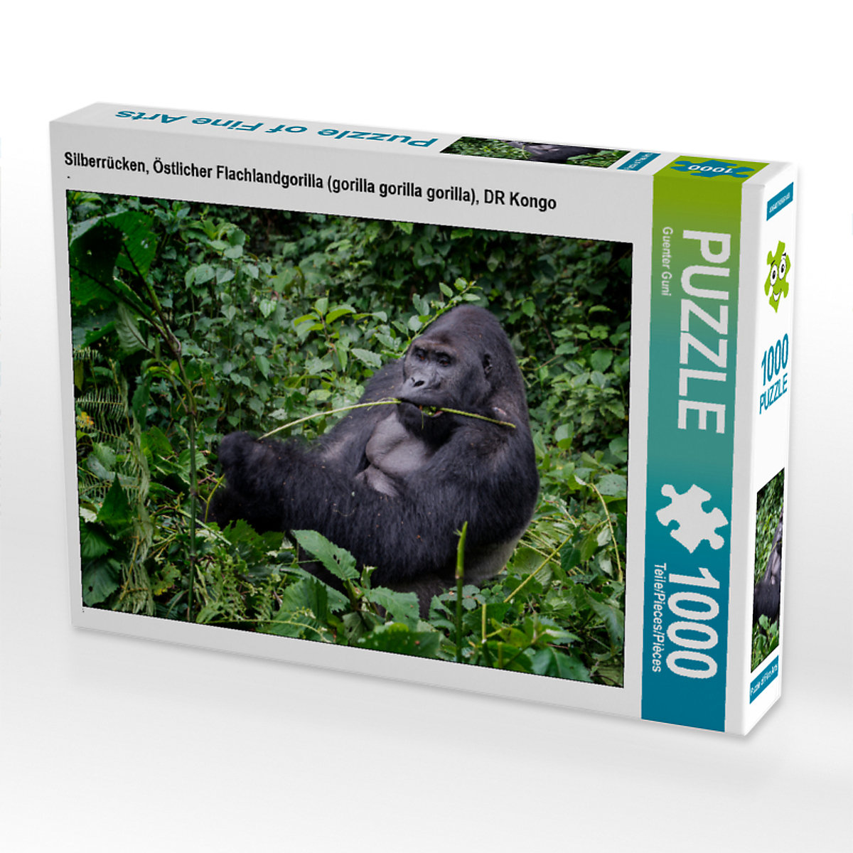 CALVENDO® Puzzle CALVENDO Puzzle Silberrücken Östlicher Flachlandgorilla (gorilla gorilla gorilla) DR Kongo 1000 Teile Foto-Puzzle für glückliche Stunden