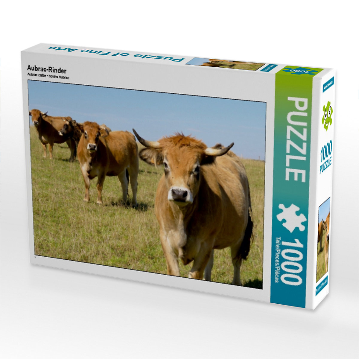 CALVENDO® Puzzle CALVENDO Puzzle Aubrac-Rinder 1000 Teile Foto-Puzzle für glückliche Stunden