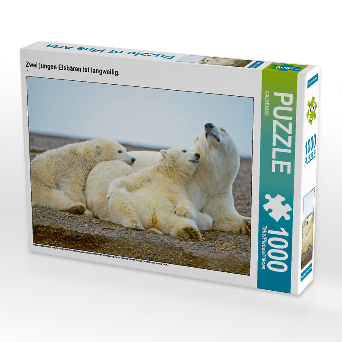 CALVENDO® Puzzle CALVENDO Puzzle Zwei jungen Eisbären ist langweilig. 1000 Teile Foto-Puzzle für glückliche Stunden