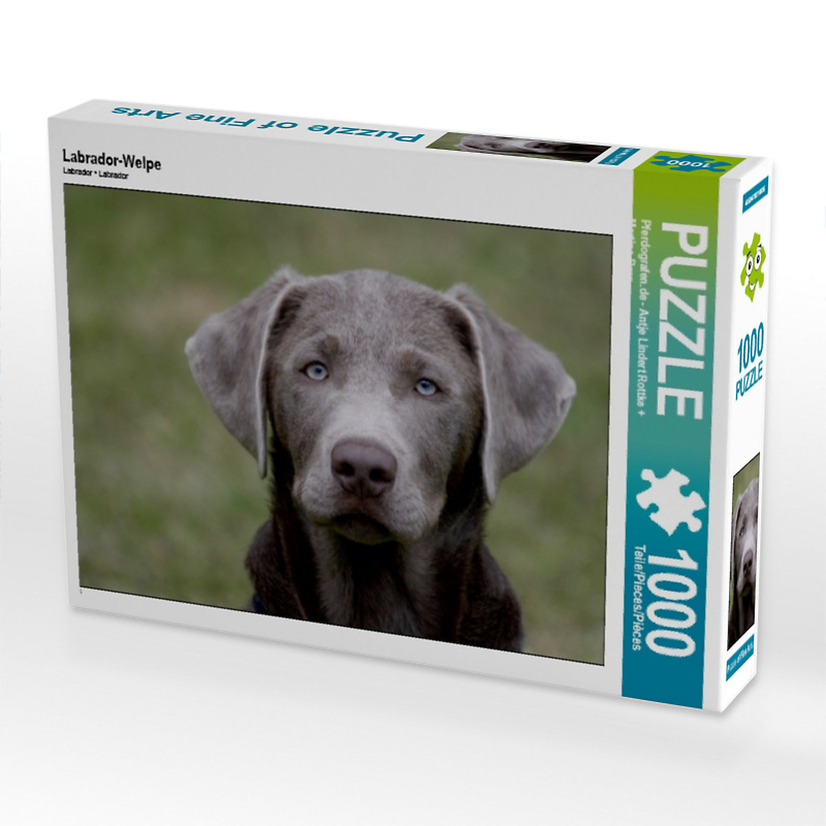CALVENDO® Puzzle CALVENDO Puzzle Labrador-Welpe 1000 Teile Foto-Puzzle für glückliche Stunden