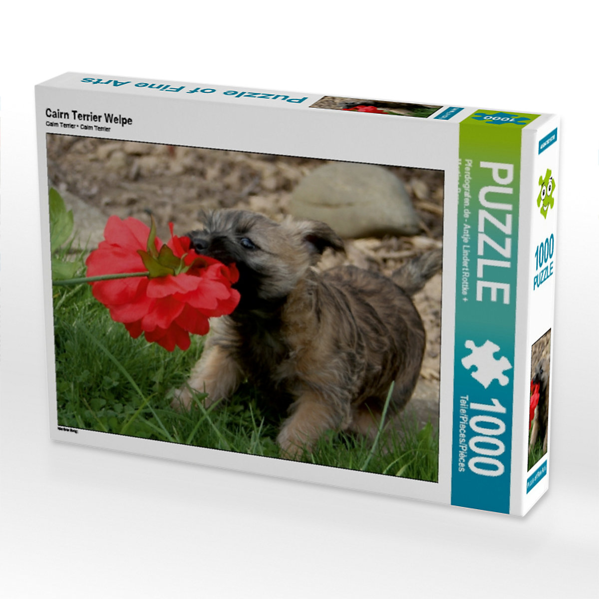 CALVENDO® Puzzle CALVENDO Puzzle Cairn Terrier Welpe 1000 Teile Foto-Puzzle für glückliche Stunden