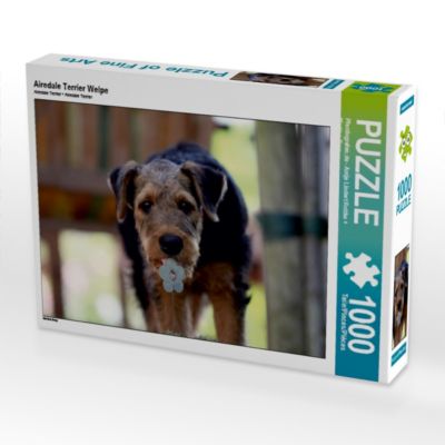 CALVENDO® Puzzle CALVENDO Puzzle Airedale Terrier Welpe 1000 Teile Foto-Puzzle für glückliche Stunden