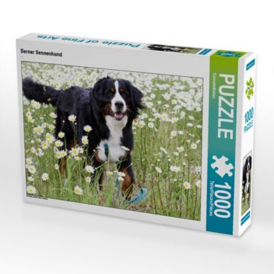 CALVENDO® Puzzle CALVENDO Puzzle Berner Sennenhund 1000 Teile Foto-Puzzle für glückliche Stunden