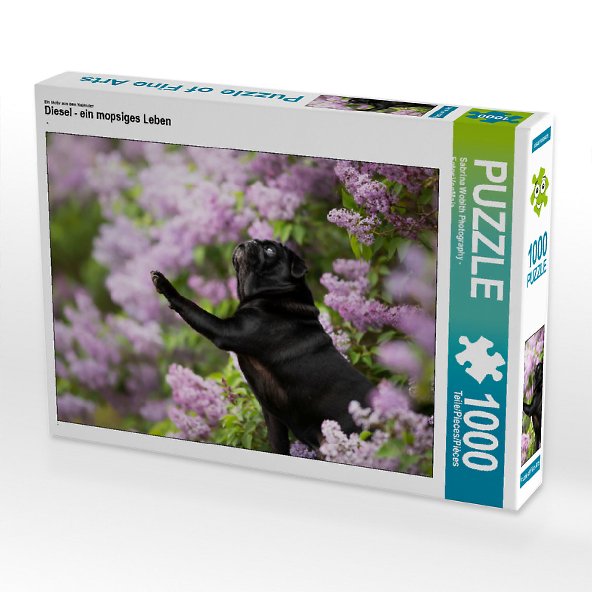 CALVENDO® Puzzle CALVENDO Puzzle Diesel ein mopsiges Leben 1000 Teile Foto-Puzzle für glückliche Stunden