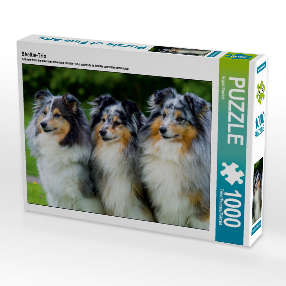 CALVENDO® Puzzle CALVENDO Puzzle Sheltie-Trio 1000 Teile Foto-Puzzle für glückliche Stunden