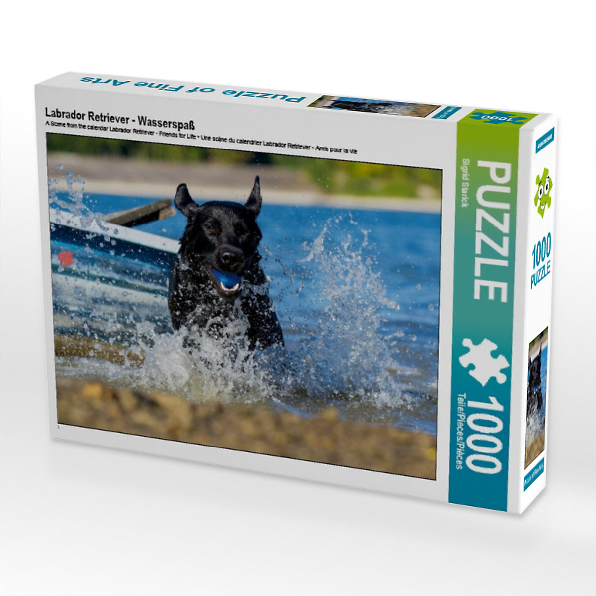 CALVENDO® Puzzle CALVENDO Puzzle Labrador Retriever Wasserspaß 1000 Teile Foto-Puzzle für glückliche Stunden