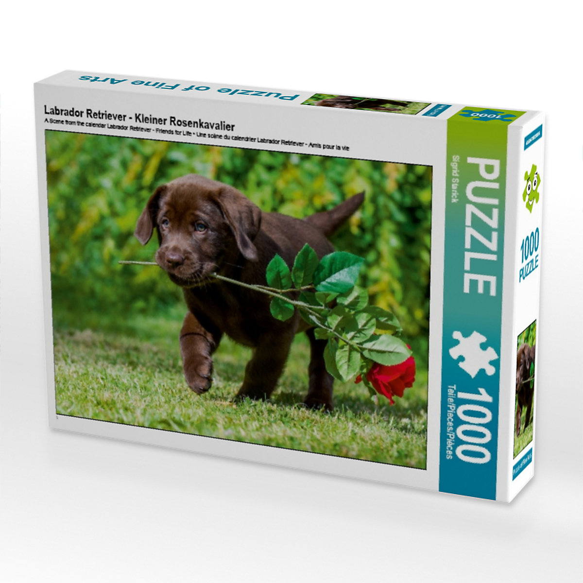 CALVENDO® Puzzle CALVENDO Puzzle Labrador Retriever Kleiner Rosenkavalier 1000 Teile Foto-Puzzle für glückliche Stunden