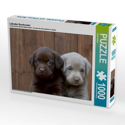 CALVENDO® Puzzle CALVENDO Puzzle Labrador Geschwister 1000 Teile Foto-Puzzle für glückliche Stunden