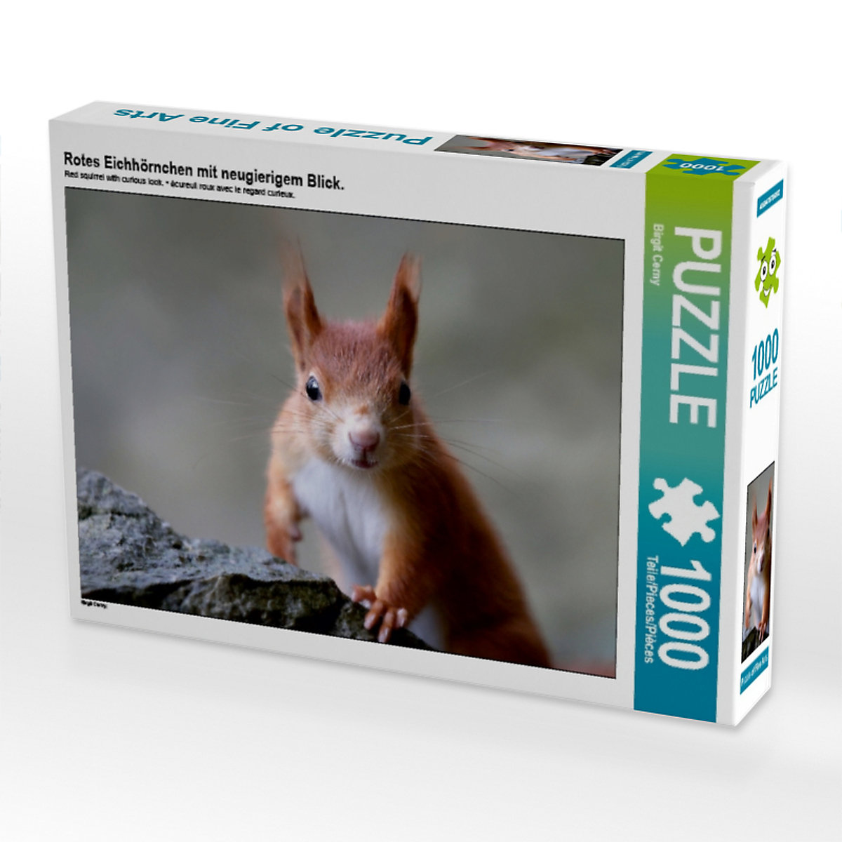 CALVENDO® Puzzle CALVENDO Puzzle Rotes Eichhörnchen mit neugierigem Blick. 1000 Teile Foto-Puzzle für glückliche Stunden