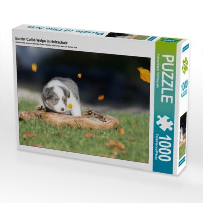 CALVENDO® Puzzle CALVENDO Puzzle Border Collie Welpe in Holzschale 1000 Teile Foto-Puzzle für glückliche Stunden