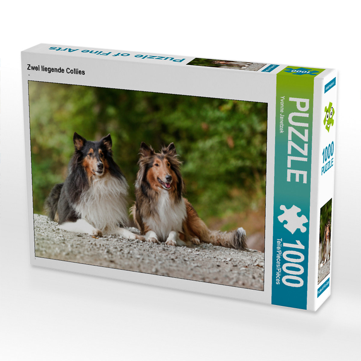 CALVENDO® Puzzle CALVENDO Puzzle Zwei liegende Collies 1000 Teile Foto-Puzzle für glückliche Stunden