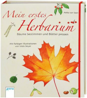 Image of Buch - Mein erstes Herbarium - Bäume bestimmen und Blätter pressen