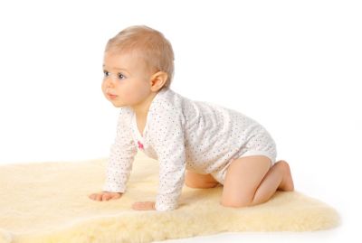 Baby Lammfell Babylammfelle