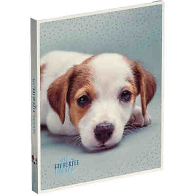Ringbuch/Zeugnismappe A4 MY FAVOURITE FRIENDS Hund
