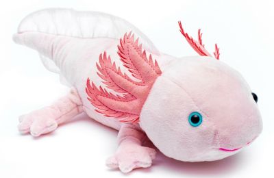 20cm Axolotl Plüschtier Stofftiere Spielzeug Stofftie Plush Doll Soft Toys DE 