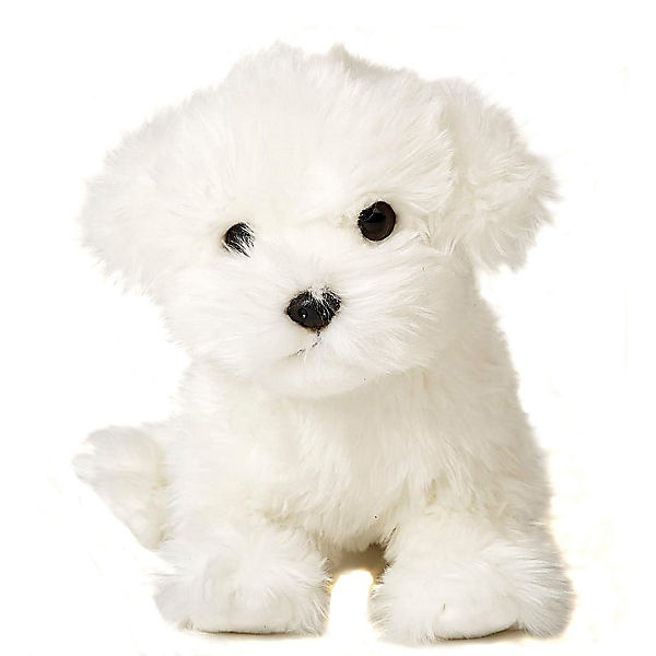 H. ca. 24 cm Hund Malteser Plüschtier, Stofftier Maltipoo sitzend Pudel