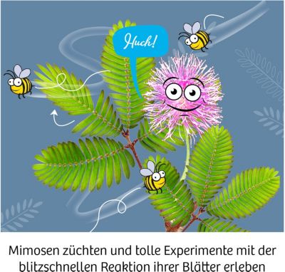 Mimosen-Garten Experimentierkasten Spiel Deutsch 2021 