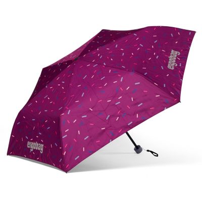 Taschenschirm NussknackBär