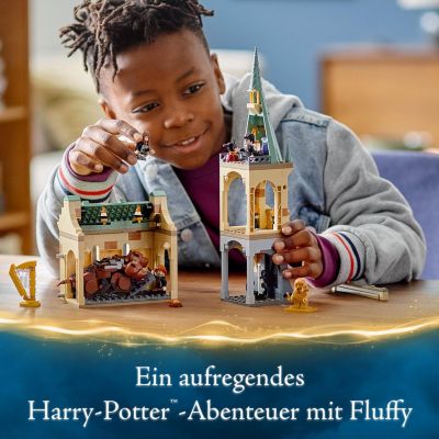 LEGO® Harry Potter 76387 Hogwarts™: Begegnung mit Fluffy 2