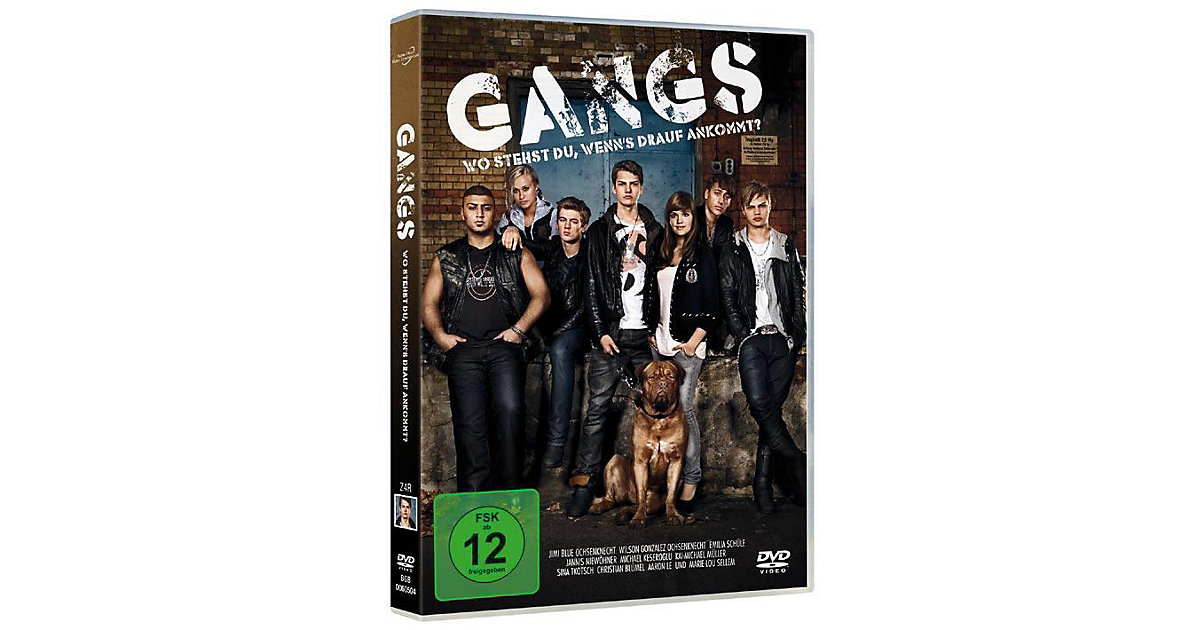 DVD Gangs Hörbuch