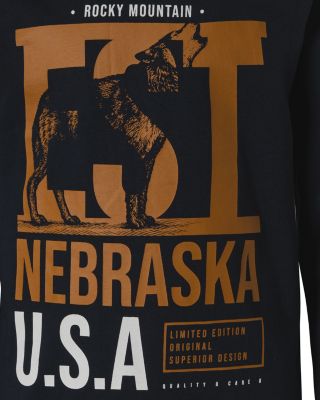 Langarmshirt NKMVICTOR für Jungen, Organic Cotton 2