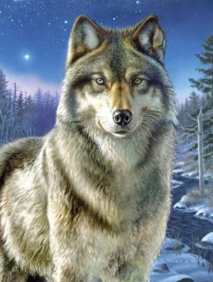 Malen  nach Zahlen 50x40cm mit Holzrahmen Leinwand Malset Wölfe wolf 