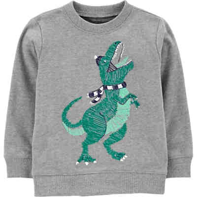 Sweatshirt für Jungen, Dinosaurier