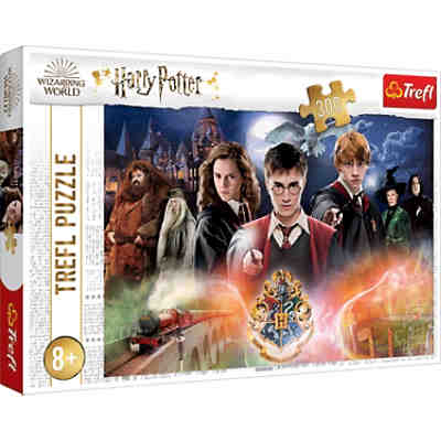 Puzzle The Secret Harry Potter - Warner, 300 Teile