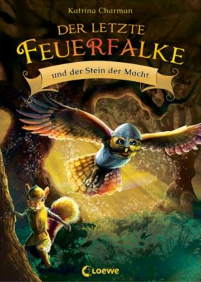 Image of Buch - Der letzte Feuerfalke und der Stein der Macht (Band 1)