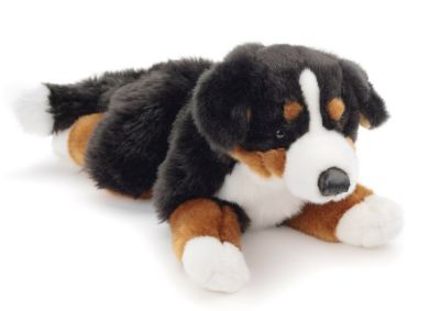 Berner Sennenhund, liegend 42 cm (Länge) PlüschHund, Plüschtier